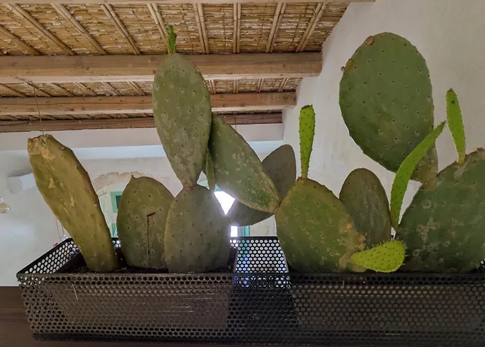 Casa Ellera 诺托