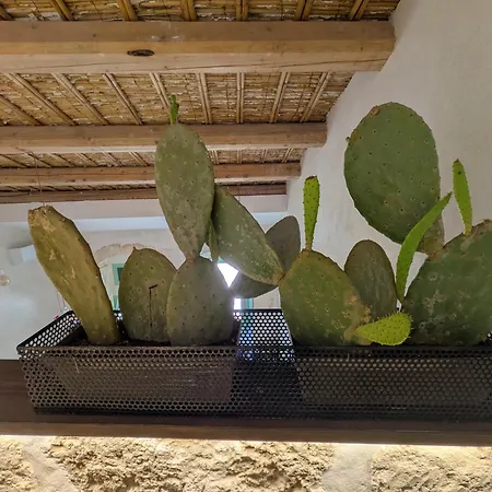 Casa Ellera Noto